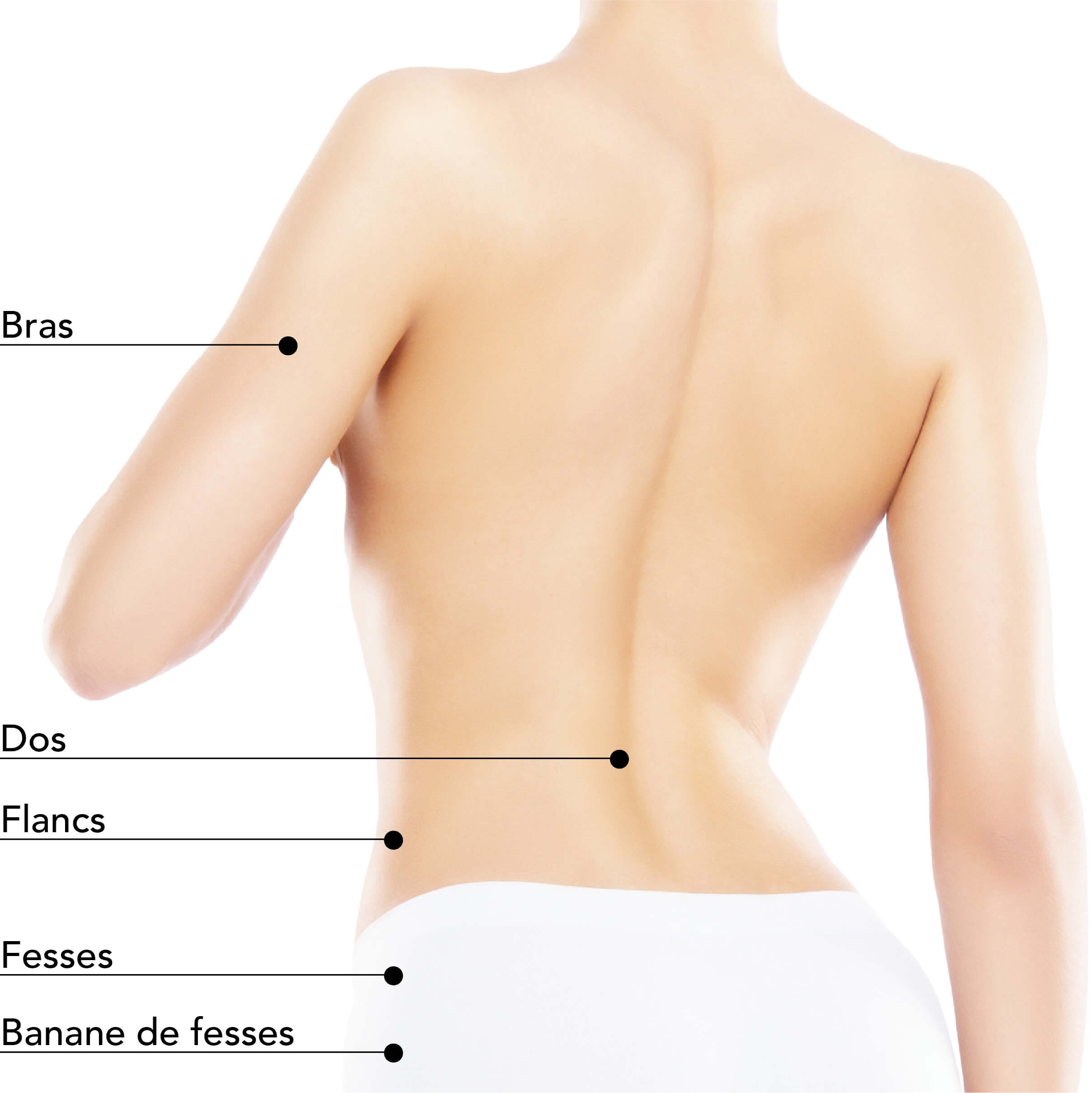 https://www.stlaurentme.com/wp-content/uploads/2024/05/St-Laurent-Medico-Esthetique_ColdSculpting_ZonesTraitables_ColdSculpting_Femme_Dos.jpg