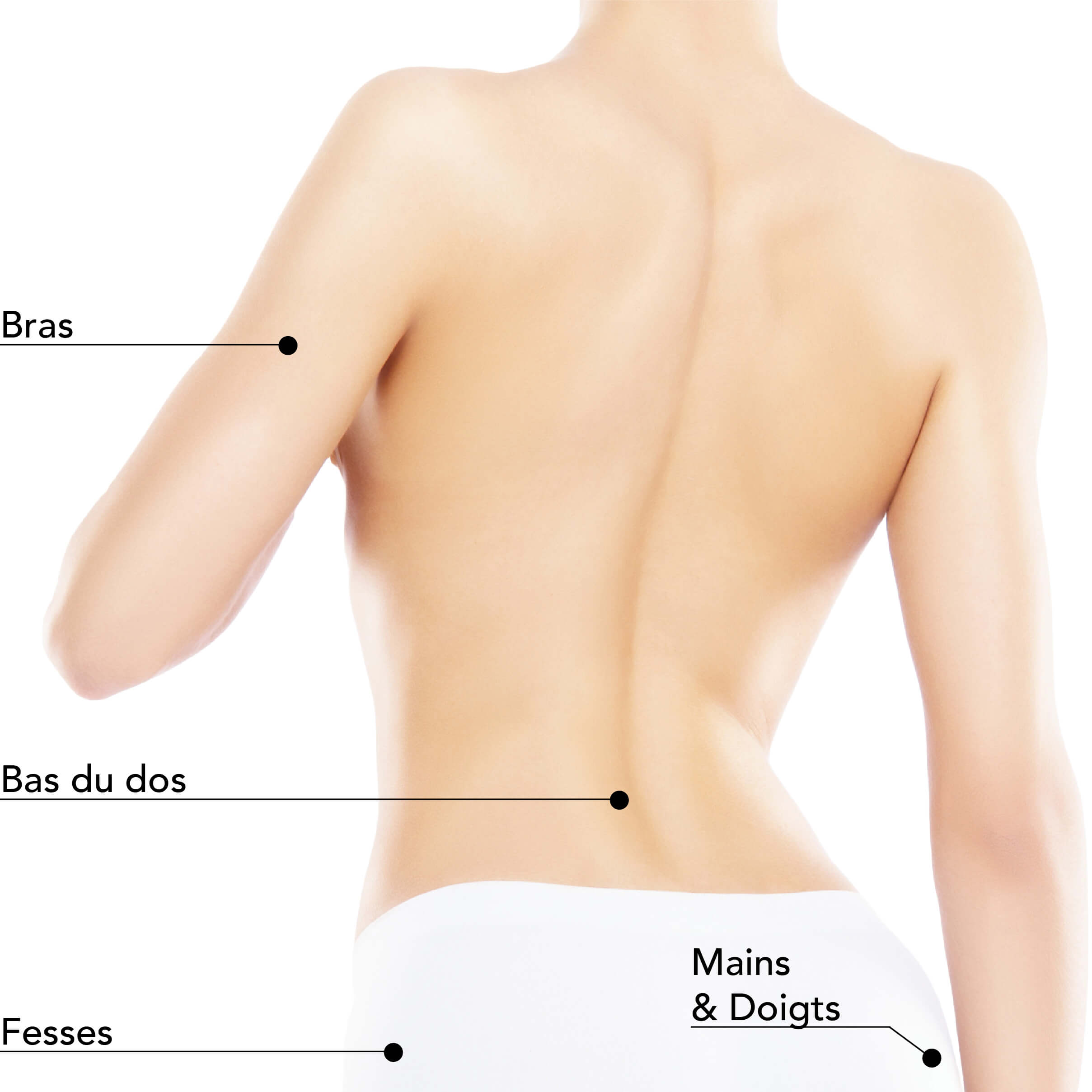 https://www.stlaurentme.com/wp-content/uploads/2024/05/St-Laurent-Medico-Esthetique_Epilation-Cire_ZonesTraitables_IPL-LumierePulsee_Femme_Dos.jpg