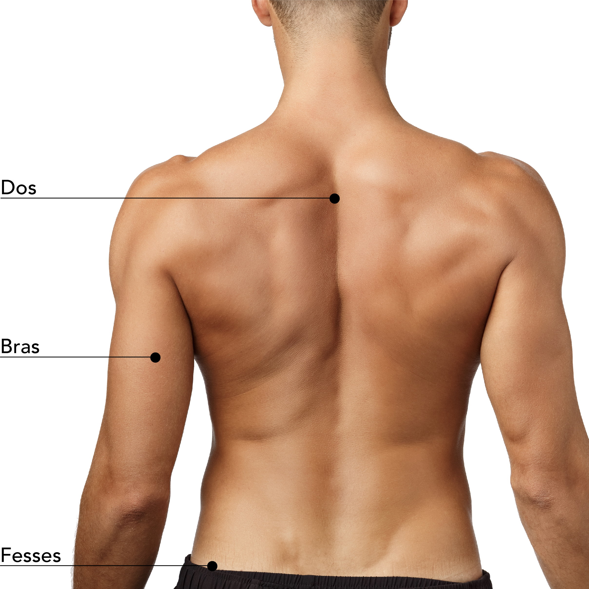 Zones ciblées pour le remodelage corporel : dos, bras et fesses, pour une silhouette harmonieuse et tonifiée.